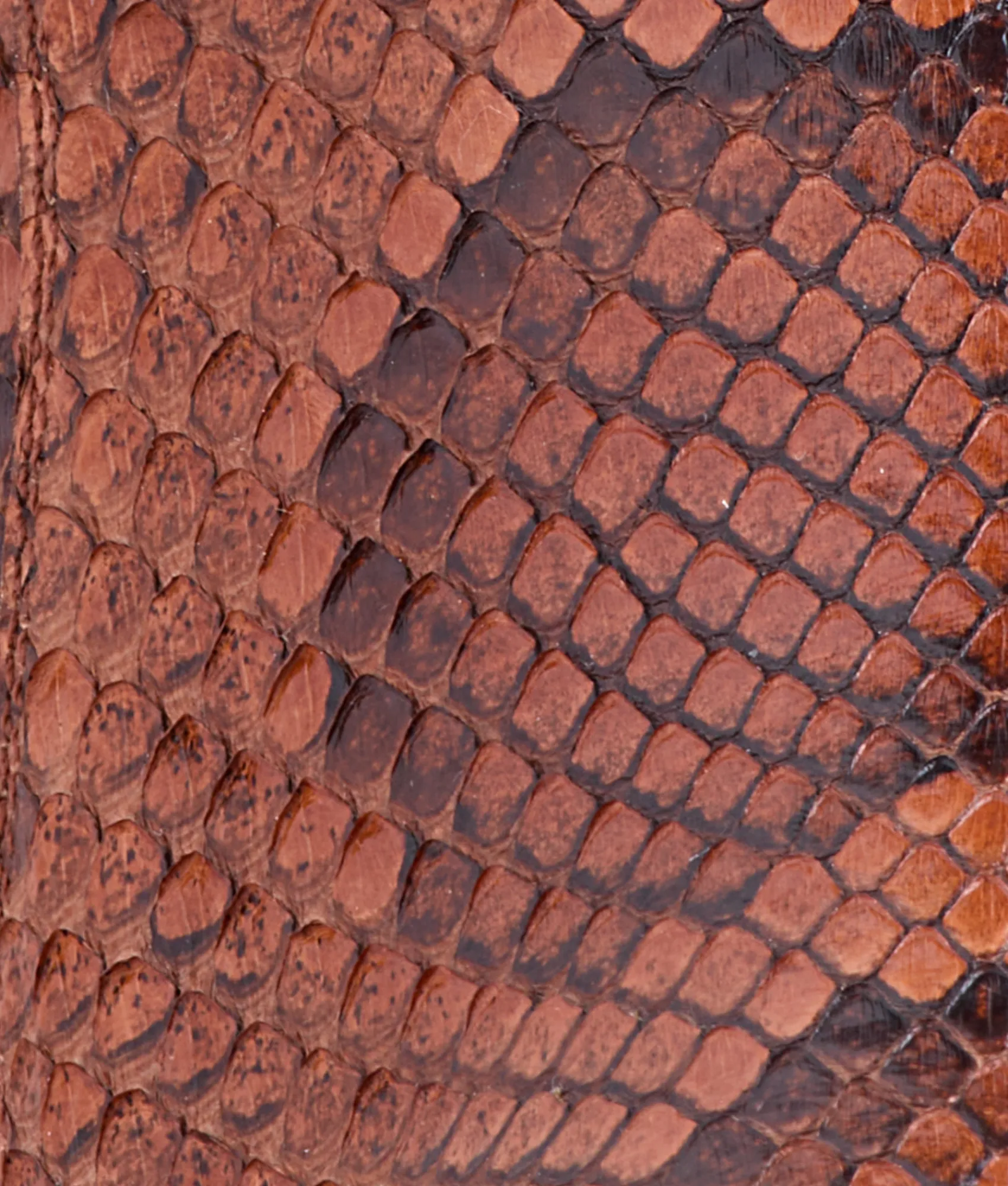 Lucchese Dale Exotic*Women/BOY Cowboy