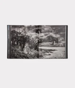 Lucchese David Yarrow Story Telling Book*Women Books|Books
