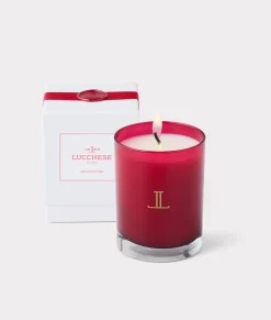 Lucchese Frosted Pine Scented Candle*Women Candles|Candles