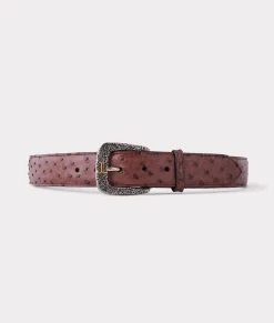 Lucchese Full Quill Ostrich* Belts & Belt Accessories