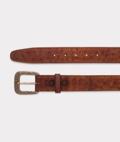 Lucchese Full Quill Ostrich* Belts & Belt Accessories