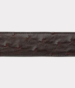 Lucchese Full Quill Ostrich* Belts & Belt Accessories