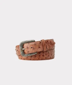 Lucchese Full Quill Ostrich* Belts & Belt Accessories