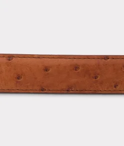 Lucchese Full Quill Ostrich Tapered*Women Belts|Belts & Belt Accessories