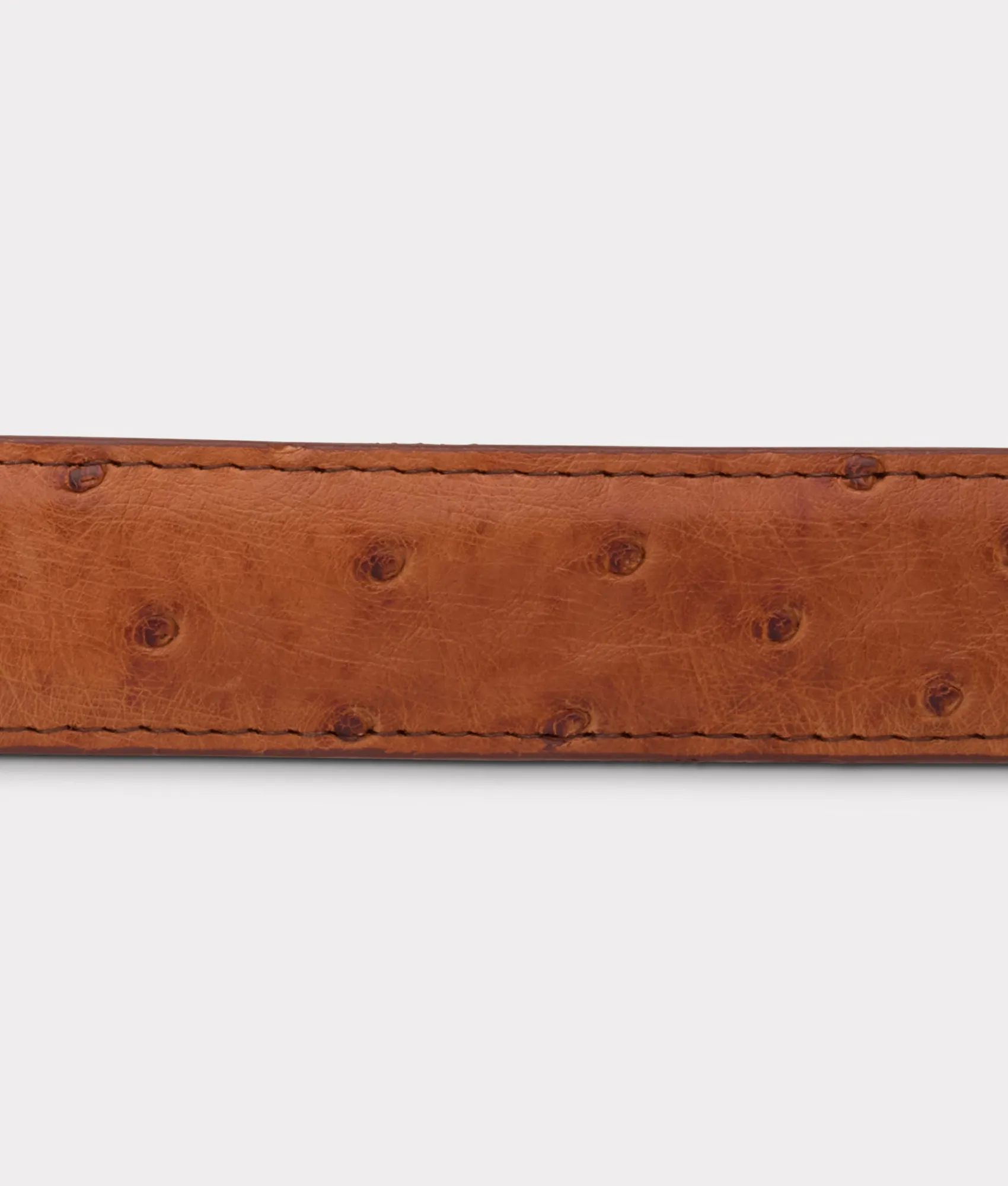 Lucchese Full Quill Ostrich Tapered*Women Belts|Belts & Belt Accessories
