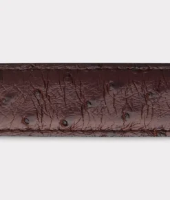Lucchese Full Quill Ostrich Tapered*Women Belts|Belts & Belt Accessories