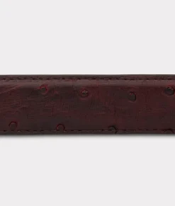 Lucchese Full Quill Ostrich Tapered*Women Belts|Belts & Belt Accessories