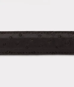 Lucchese Full Quill Ostrich Tapered*Women Belts|Belts & Belt Accessories