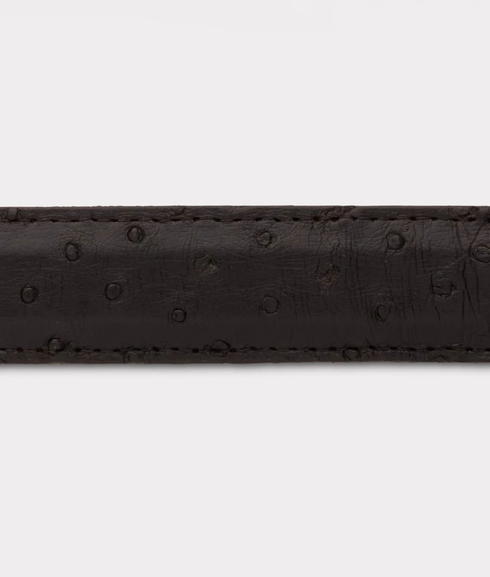 Lucchese Full Quill Ostrich Tapered*Women Belts|Belts & Belt Accessories