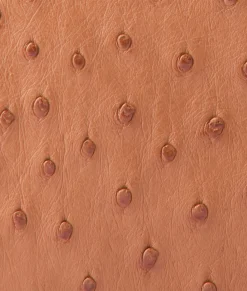 Lucchese Joni Exotic Baguette*Women Handbags