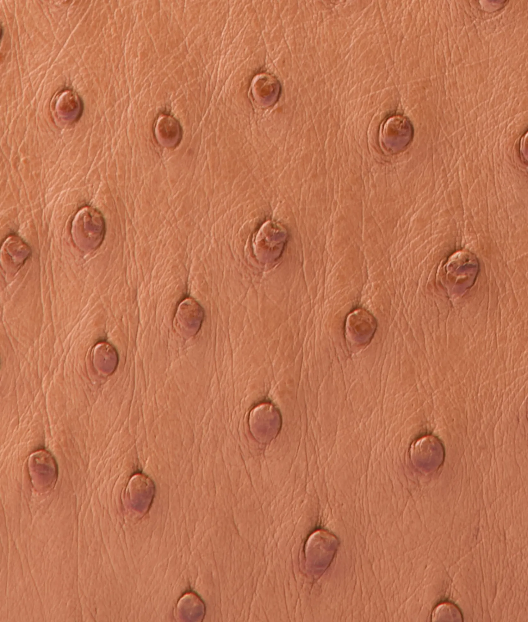 Lucchese Joni Exotic Baguette*Women Handbags