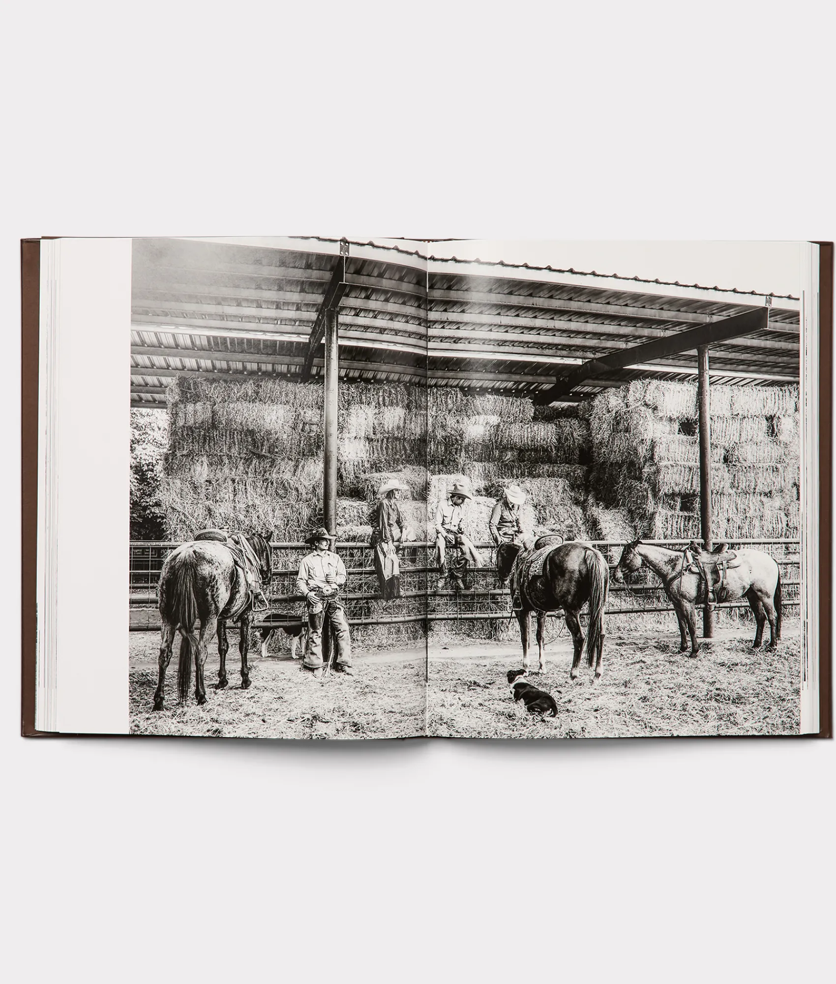 Lucchese Leather Bound Cowboy Book*Women Books|Books