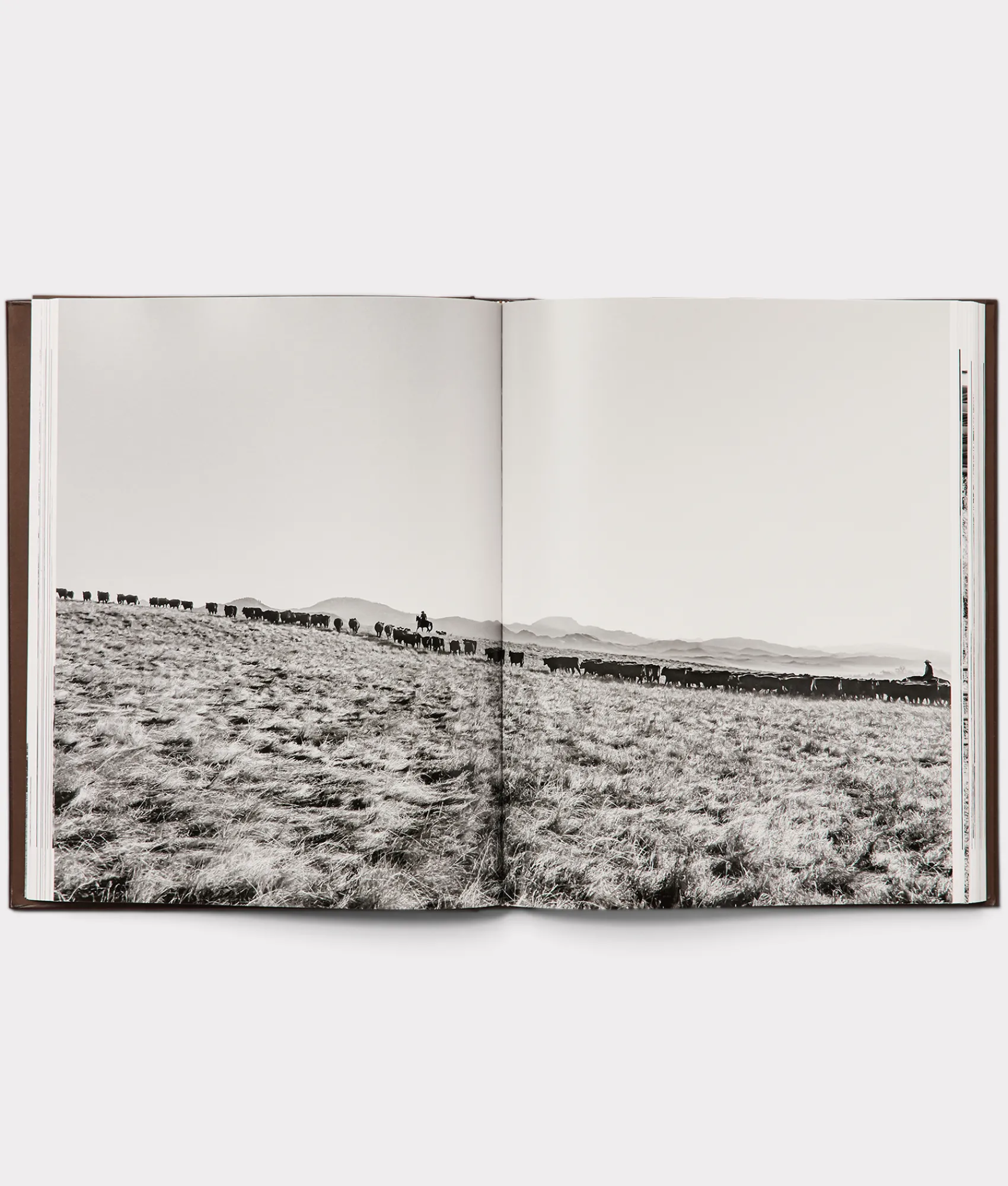 Lucchese Leather Bound Cowboy Book*Women Books|Books