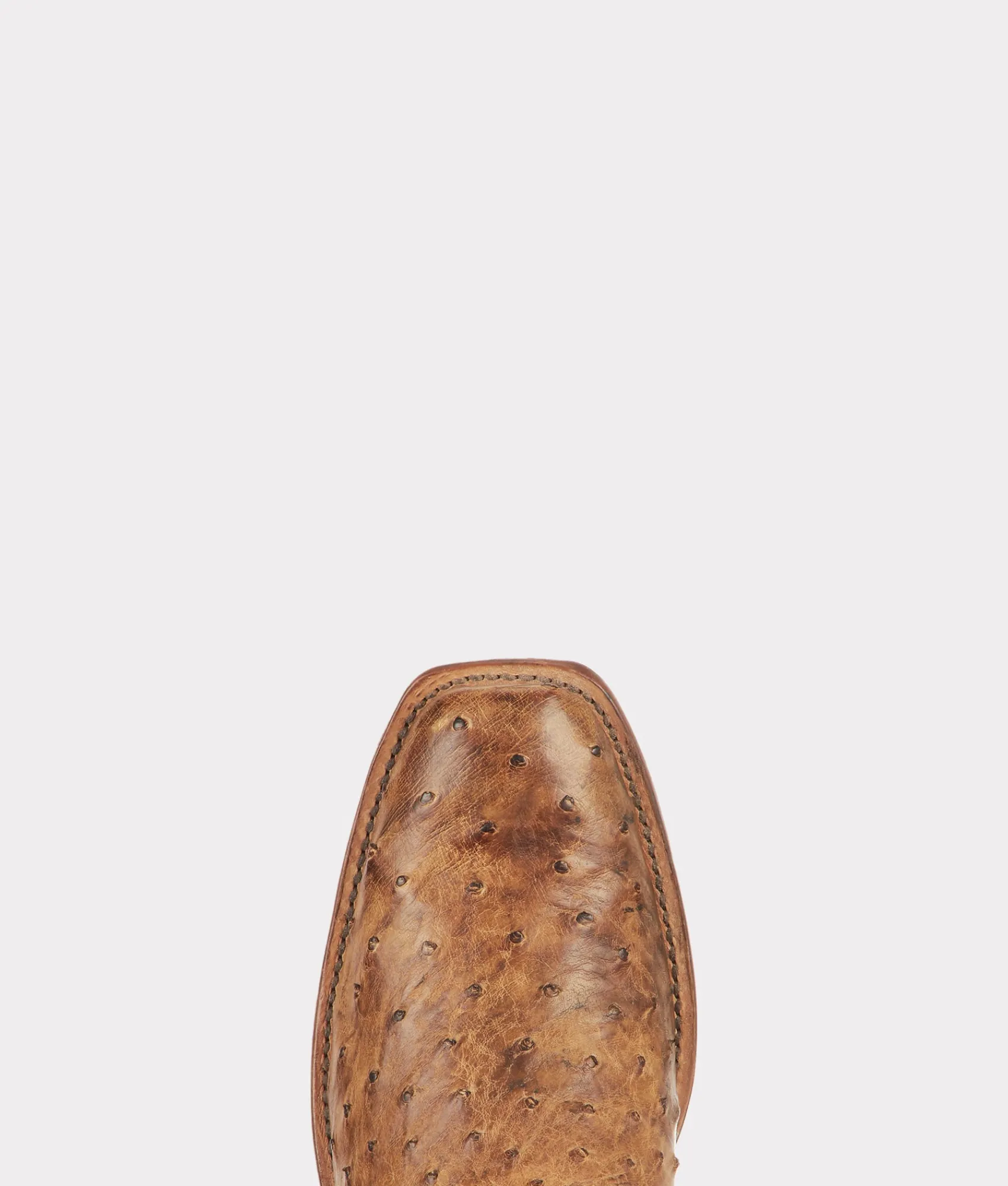 Lucchese Nopales*BOY Cowboy