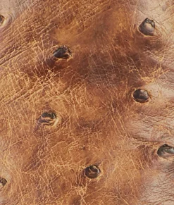 Lucchese Nopales*BOY Cowboy