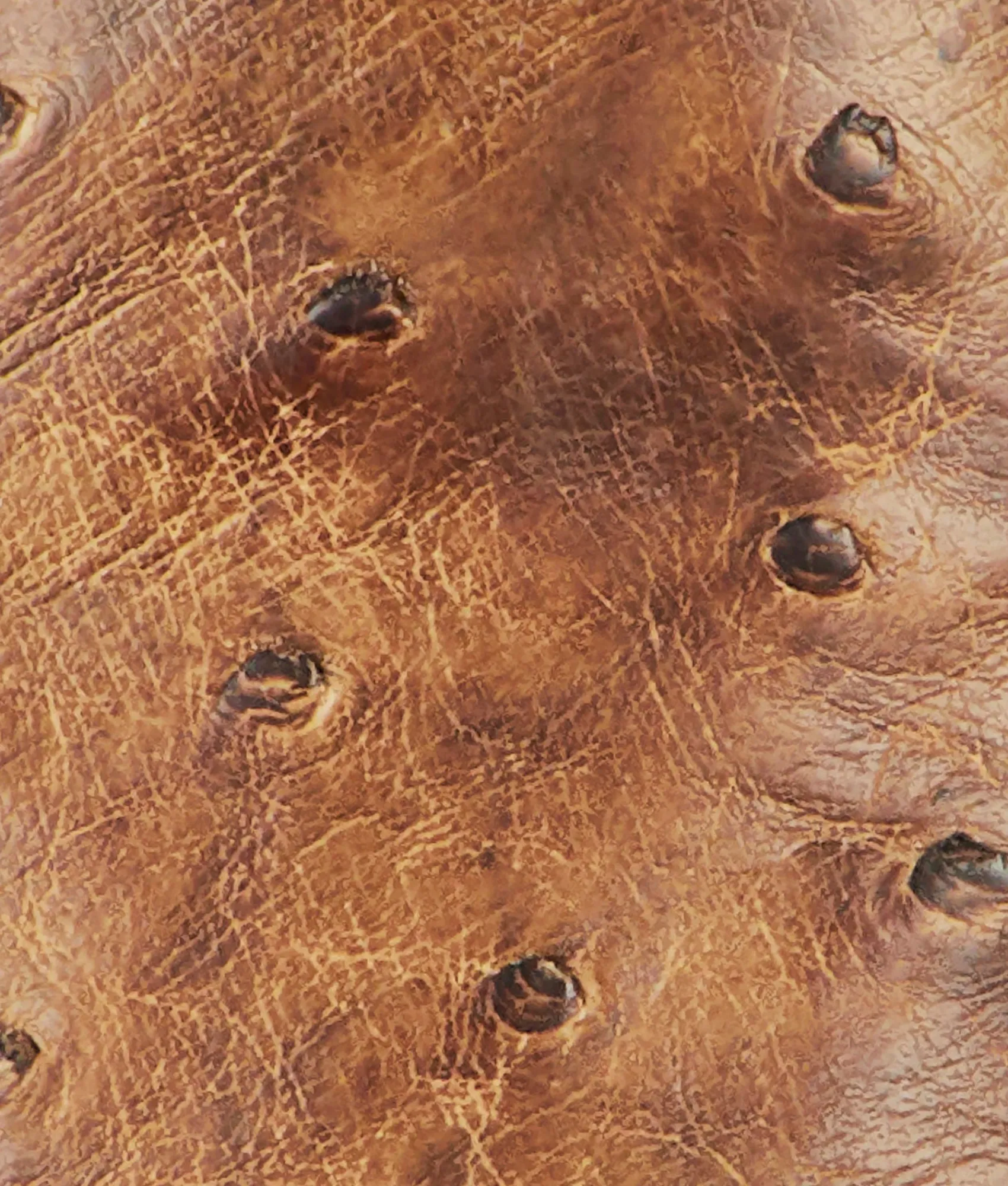 Lucchese Nopales*BOY Cowboy