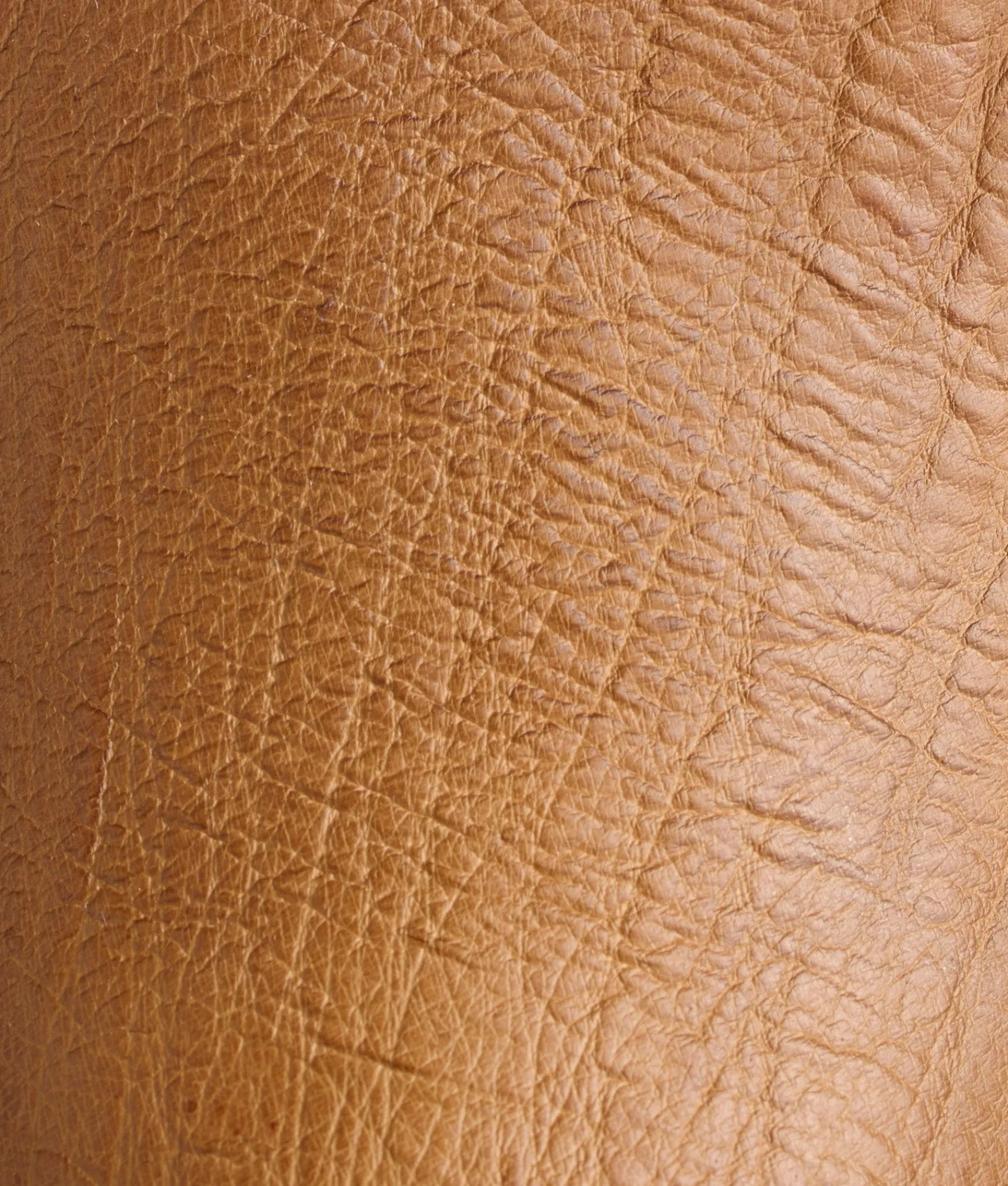 Lucchese Ridgeline Exotic Chukka Boot* After Ride