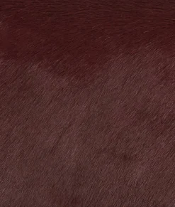 Lucchese Small Zip Pouch*Women Handbags