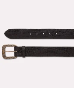 Lucchese Ultra Belly Caiman* Belts & Belt Accessories
