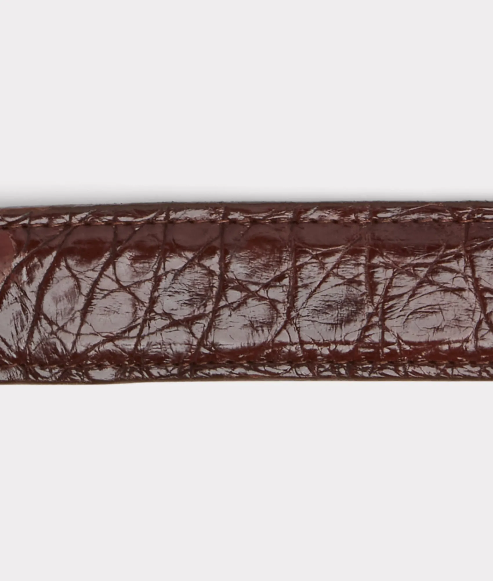 Lucchese Women's Caiman Tapered Belt*Women Belts